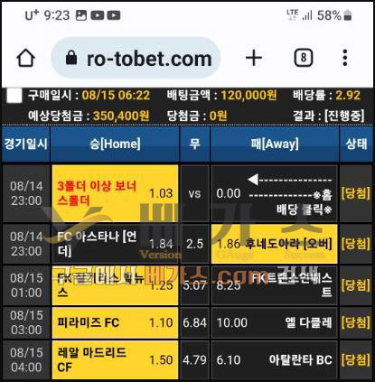 프로토벳 머튀사건 피해자의 스포츠토토 베팅 내역 [먹튀검증 증거자료 1]