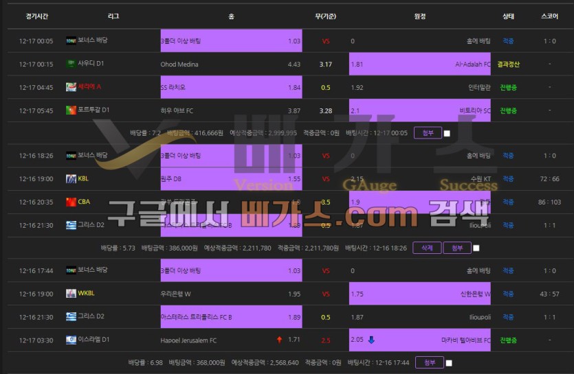 월드컵 먹튀사건 피해자의 스포츠토토 배팅내역