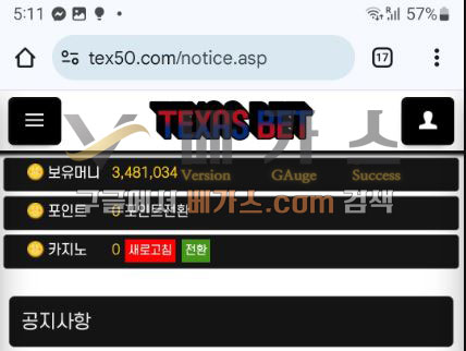 텍사스벳 먹튀사건 피해자의 보유머니 348만 원