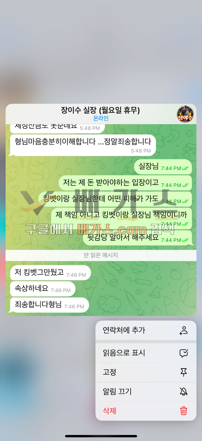 킹벳을 소개해준 장이수 실장과 피해자의 텔레그램 대화 내용